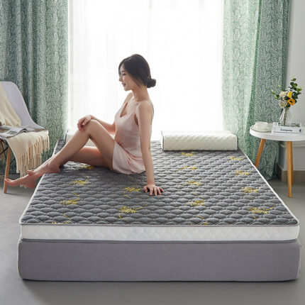 Latex Mattress topper High Rebound